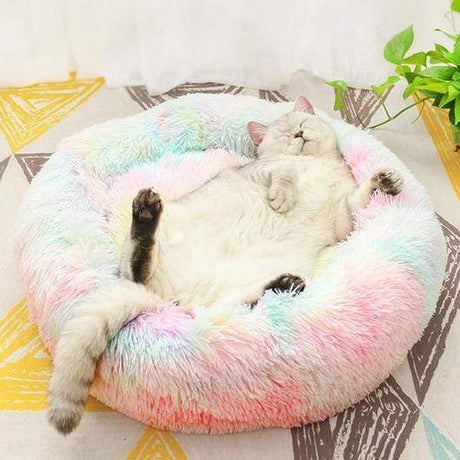 Plush Pet Bed  Rainbow Gradient Donut Design - Product showcase