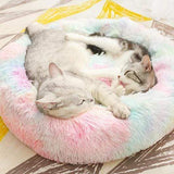 Plush Pet Bed  Rainbow Gradient Donut Design - Detailed view