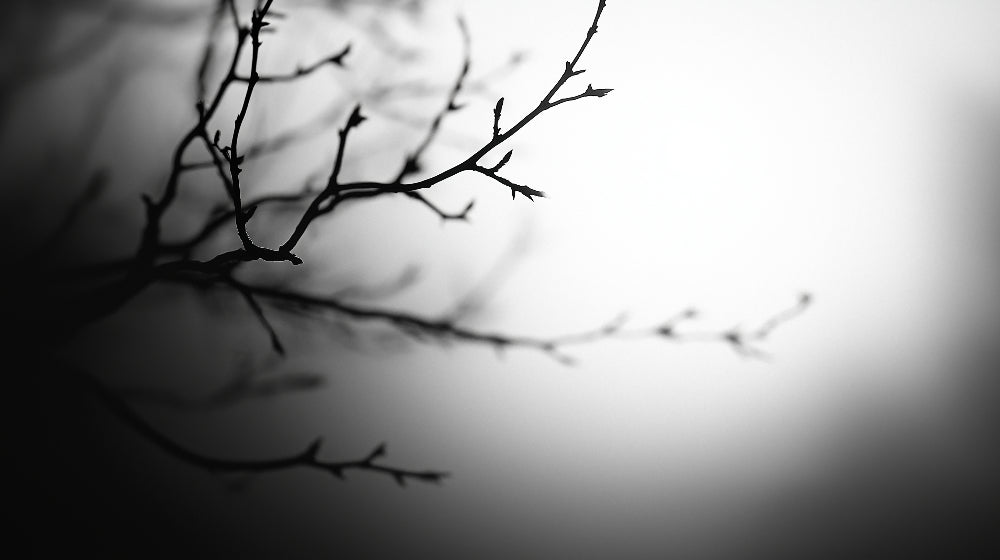 Black and white tree branch pattern design file showing intricate details and gradient effects