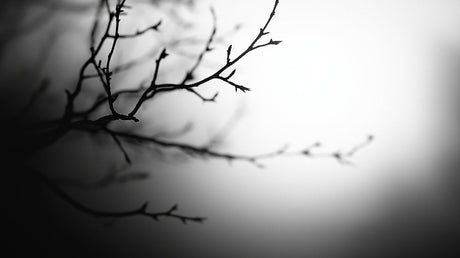 Black and white tree branch pattern design file showing intricate details and gradient effects