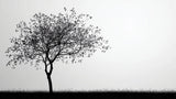 Minimalist black and white tree pattern design file showing intricate branch details
