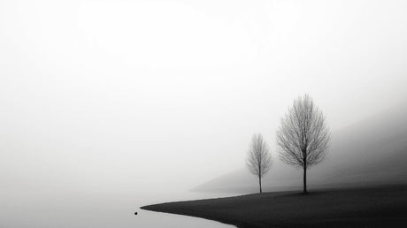 Minimalist black and white tree landscape design file showing detailed fog and branch patterns