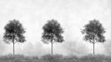Design file showing detailed grey and black forest pattern with misty background effect