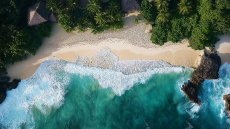 Aerial beach view design file showing turquoise waters meeting golden sand with swaying palm trees