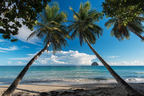 Tropical beach paradise design file showing detailed palm trees and turquoise ocean pattern