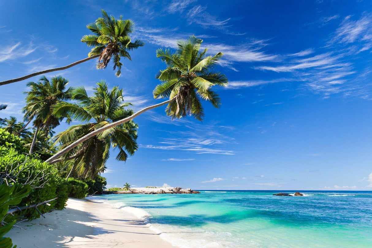 Tropical beach paradise design file showing detailed palm trees and crystal clear waters