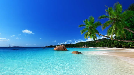 High-resolution beach paradise design file showing turquoise waters and palm trees in detail