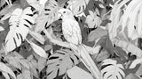 Black and white tropical bird wallpaper design file showing detailed parrot and monstera pattern