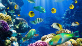 Vibrant coral reef and tropical fish design file showing intricate pattern details