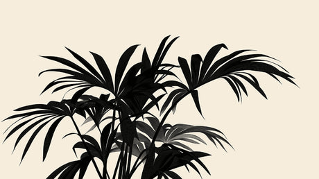 Black palm leaves on beige wallpaper design file showing detailed botanical pattern