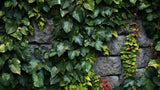 Tropical foliage wallpaper design file showing detailed green leaves and stone texture pattern