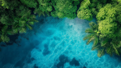 Tropical lagoon wallpaper design file showing detailed aerial view of turquoise waters meeting lush rainforest