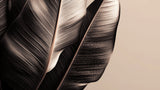 Black and beige tropical leaf wallpaper design file showing detailed botanical pattern and textures