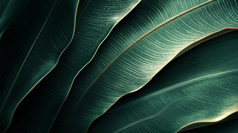 Banana leaf wallpaper design file showing detailed tropical pattern and textures