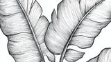 Black and white tropical leaves design file showing detailed line art pattern of banana and monstera leaves