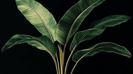 Dark botanical banana leaf design file showing detailed leaf pattern and rich texture