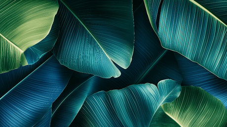 Banana leaf wallpaper design file showing detailed emerald and teal botanical pattern