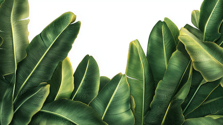 Banana leaf pattern design file showing detailed tropical foliage in emerald green