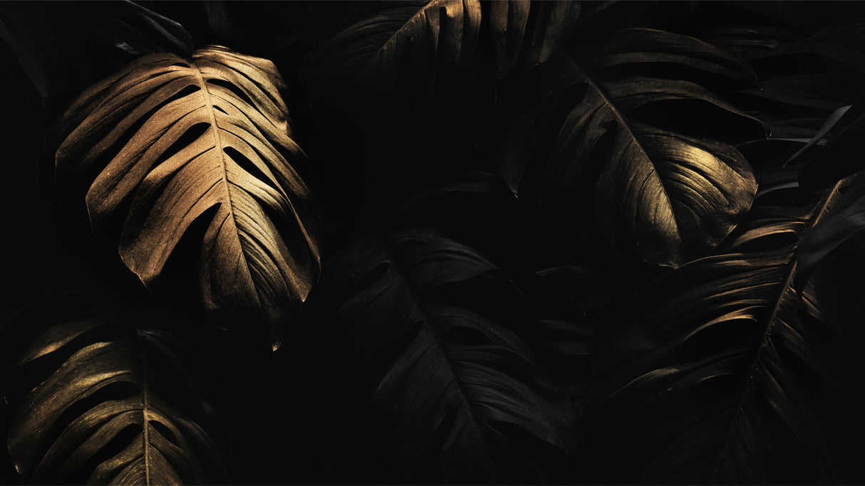 Tropical monstera leaves design file showing detailed black and gold pattern
