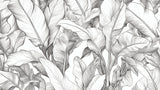 Tropical Mural Wallpaper | Black and White Banana Leaf Design