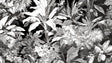 Black and white tropical botanical wallpaper creating drama in a modern living room with high ceilings and minimal furniture