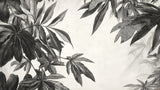 Black and white botanical leaf wallpaper design file showing detailed monstera pattern and precise line work