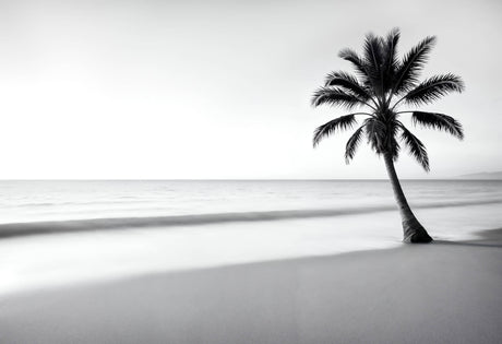 High-resolution design file showing detailed palm tree and beach pattern in black and white