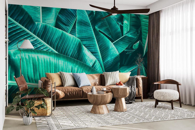 Tropical leaf wallpaper in modern living room showing large banana leaves against white walls