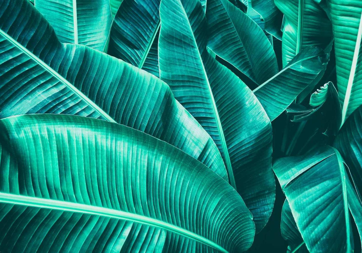 Giant banana leaf design file showing intricate leaf patterns and rich emerald tones