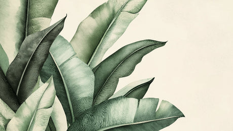 Banana leaf wallpaper design file showing detailed tropical pattern and texture