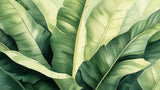 Large banana leaf pattern design file showing detailed botanical textures and natural green shades