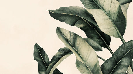 Large banana leaves design file showing intricate botanical pattern and rich green tones