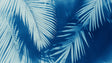 Tropical palm leaf wallpaper with azure background creating a striking statement wall in a modern living room setting