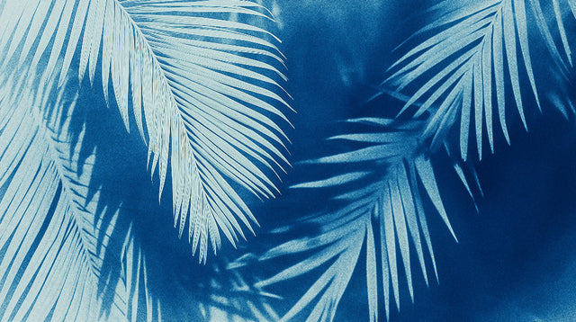 Tropical palm leaf wallpaper with azure background creating a striking statement wall in a modern living room setting