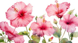 Pink Hibiscus Watercolor design file showing full flower pattern and exact colors