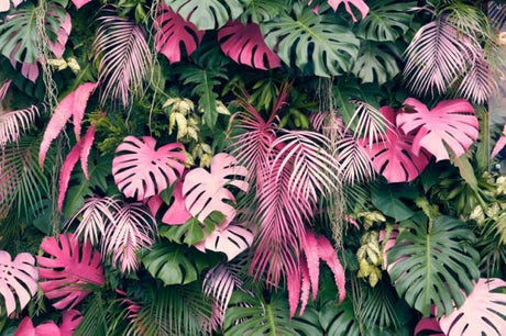 Tropical pink Monstera and palm leaves design file showing intricate leaf pattern and rich color details