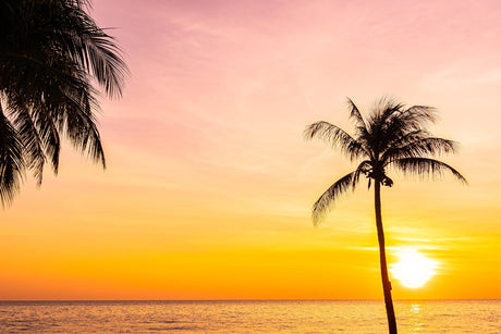 Tropical sunset beach paradise design file showing detailed palm silhouettes and gradient sky