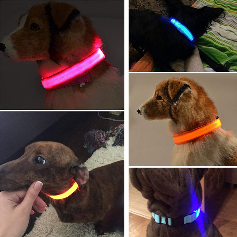 LED Pet Safety Collar  Rechargeable Night Visibility Design - Product example