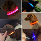 LED Pet Safety Collar  Rechargeable Night Visibility Design - Product example
