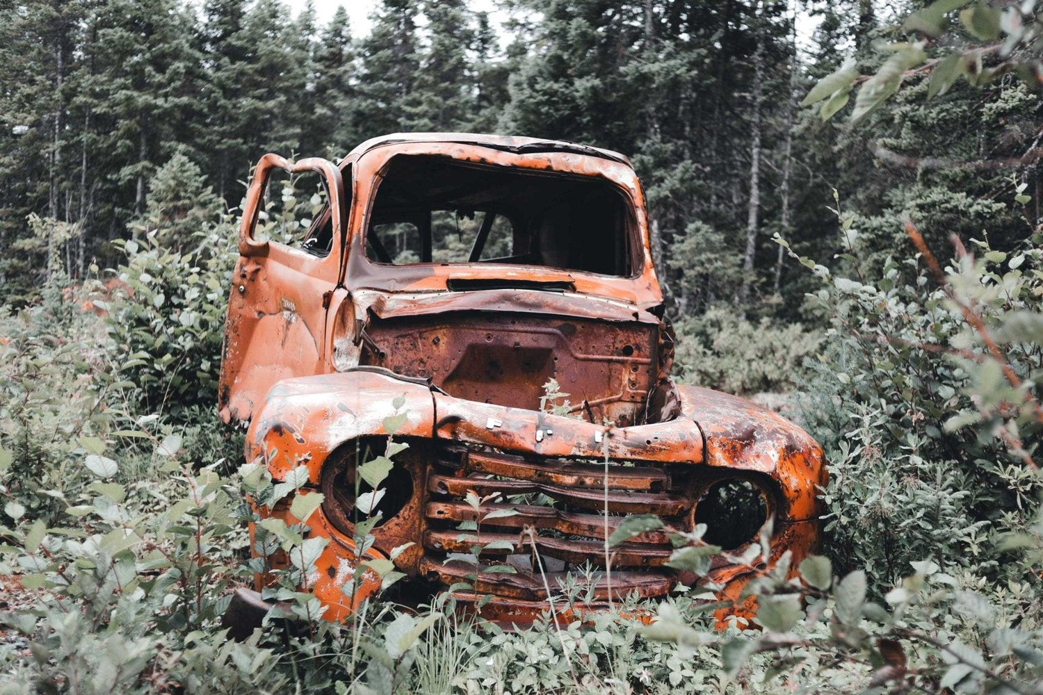 Vintage car and forest design file showing detailed photography of abandoned pickup truck among pine trees