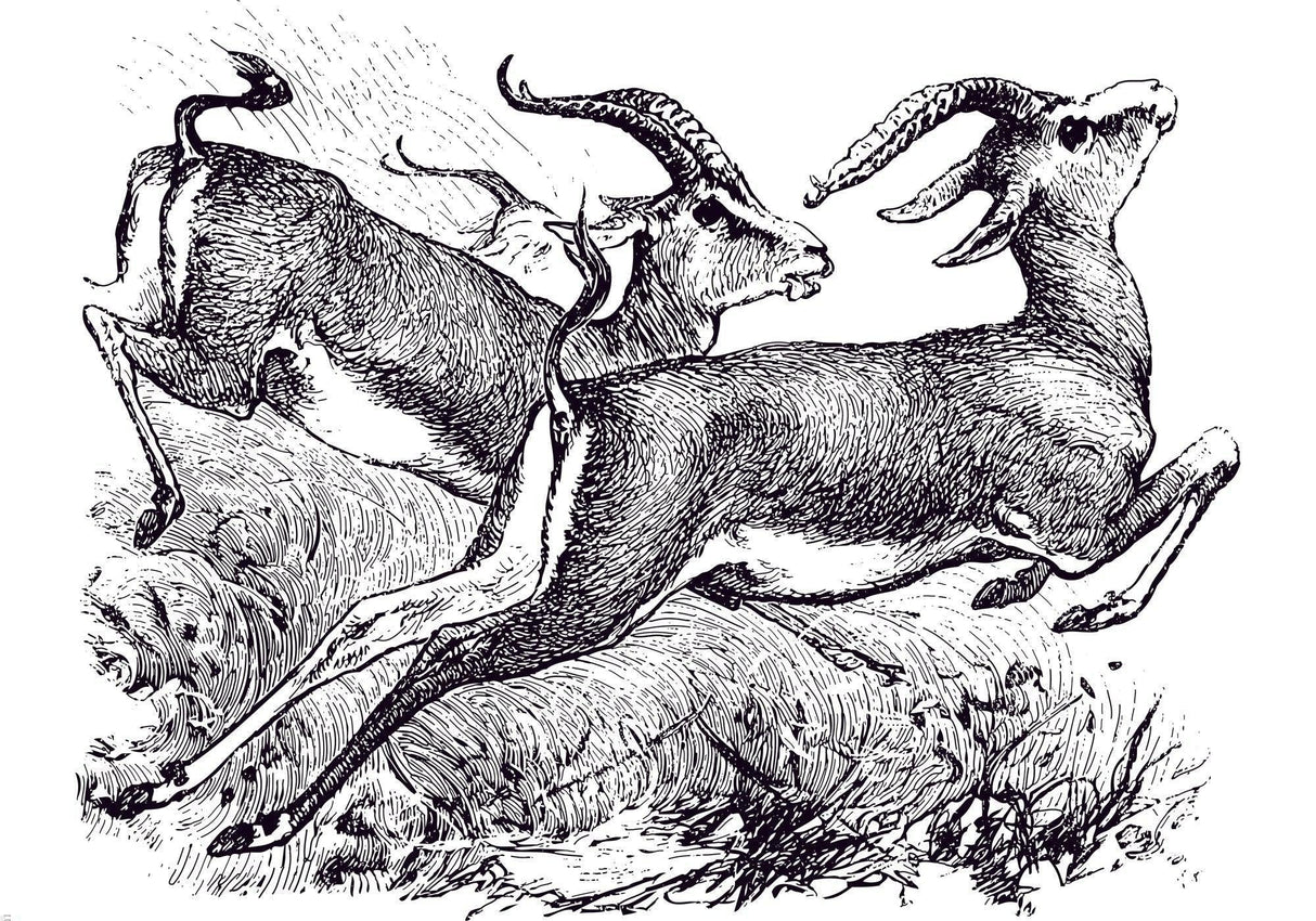 Design file showing detailed black and white gazelle sketch pattern with artistic line work