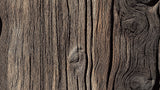 Rustic aged timber wallpaper design file showing detailed wood grain pattern and texture